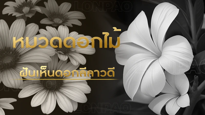 ฝันเห็นดอกลีลาวดี