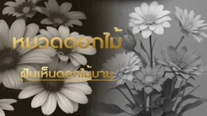 ฝันเห็นดอกไม้บาน