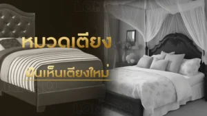 ฝันเห็นเตียงใหม่