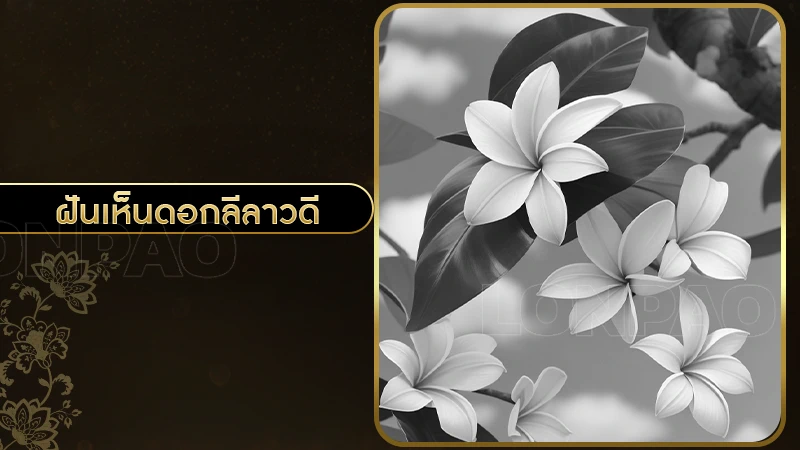 ฝันเห็นดอกลีลาวดี