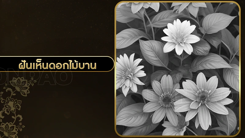 ฝันเห็นดอกไม้บาน