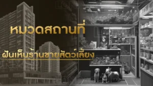 ฝันเห็นร้านขายสัตว์เลี้ยง