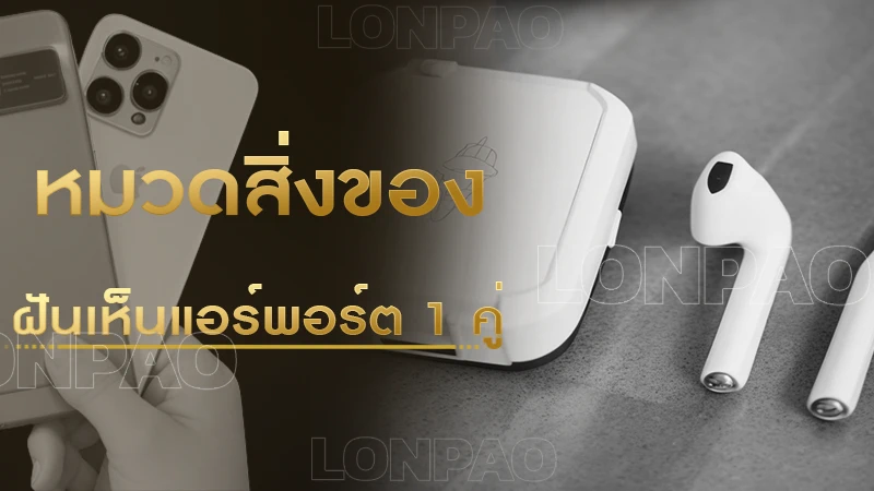 ฝันเห็นแอร์พอร์ต 1 คู่