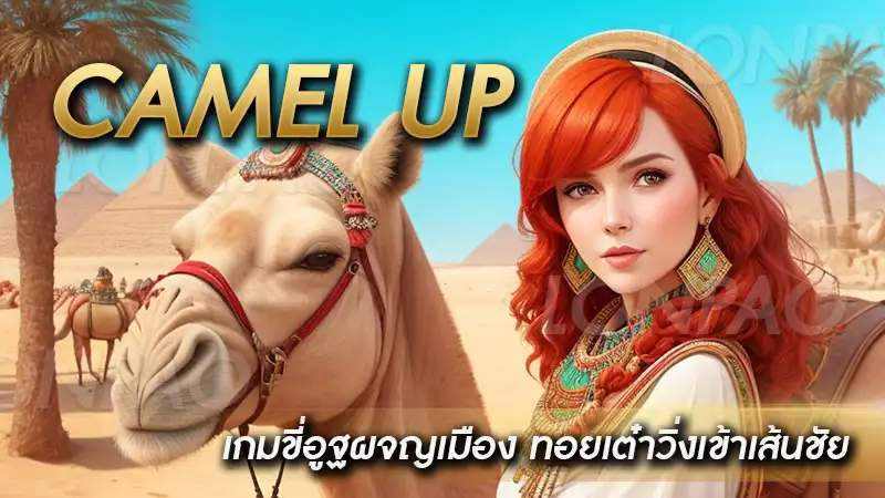 Camel Up