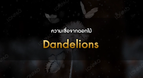 Dandelions