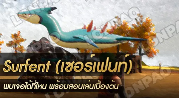 Surfent (เซอร์เฟนท์)