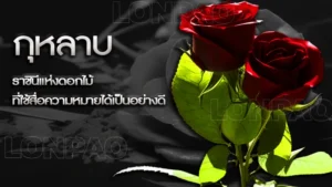 กุหลาบ