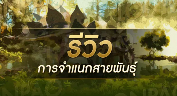 สเตโกซอรัส