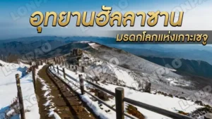 อุทยานแห่งชาติฮัลลาซาน