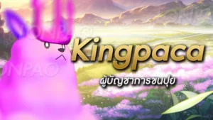 Kingpaca