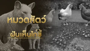 ฝันเห็นไก่ขี้