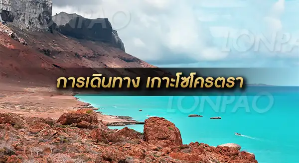 เกาะโซโครตรา