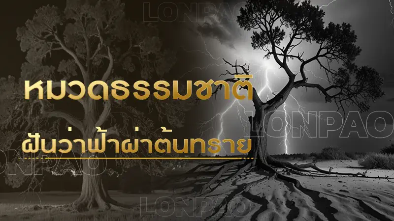 ฝันว่าฟ้าผ่าต้นทราย