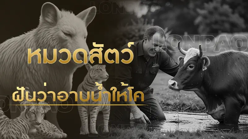 ฝันว่าอาบน้ำให้โค