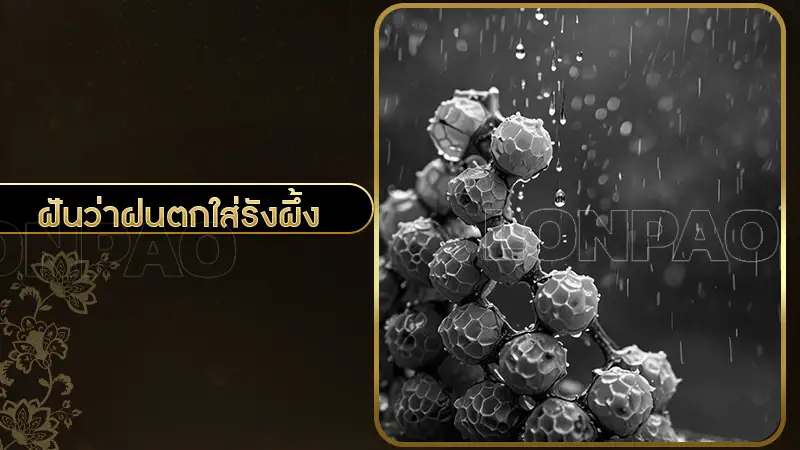 ฝันว่าฝนตกใส่รังผึ้ง