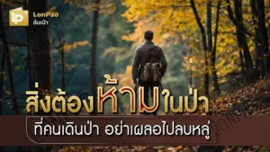 สิ่งต้องห้ามในป่า