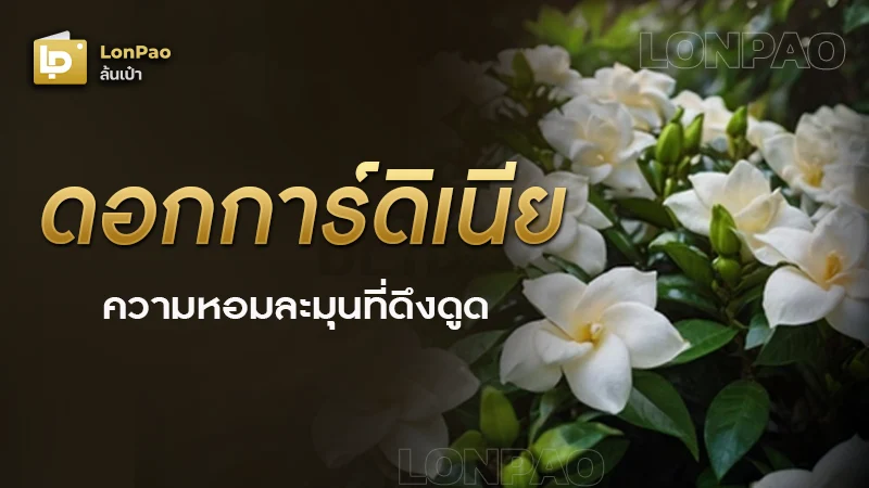 ดอกการ์ดิเนีย