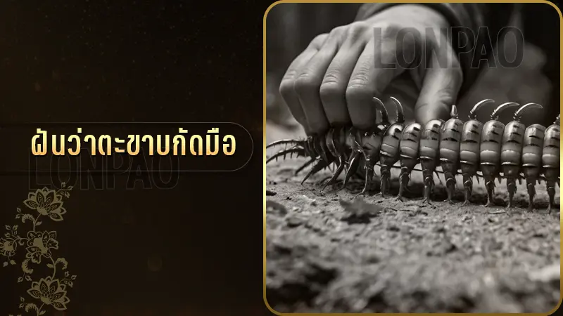 ฝันว่าตะขาบกัดมือ