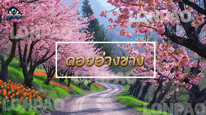 ดอยอ่างขาง